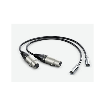 Mini XLR Adapter Cables